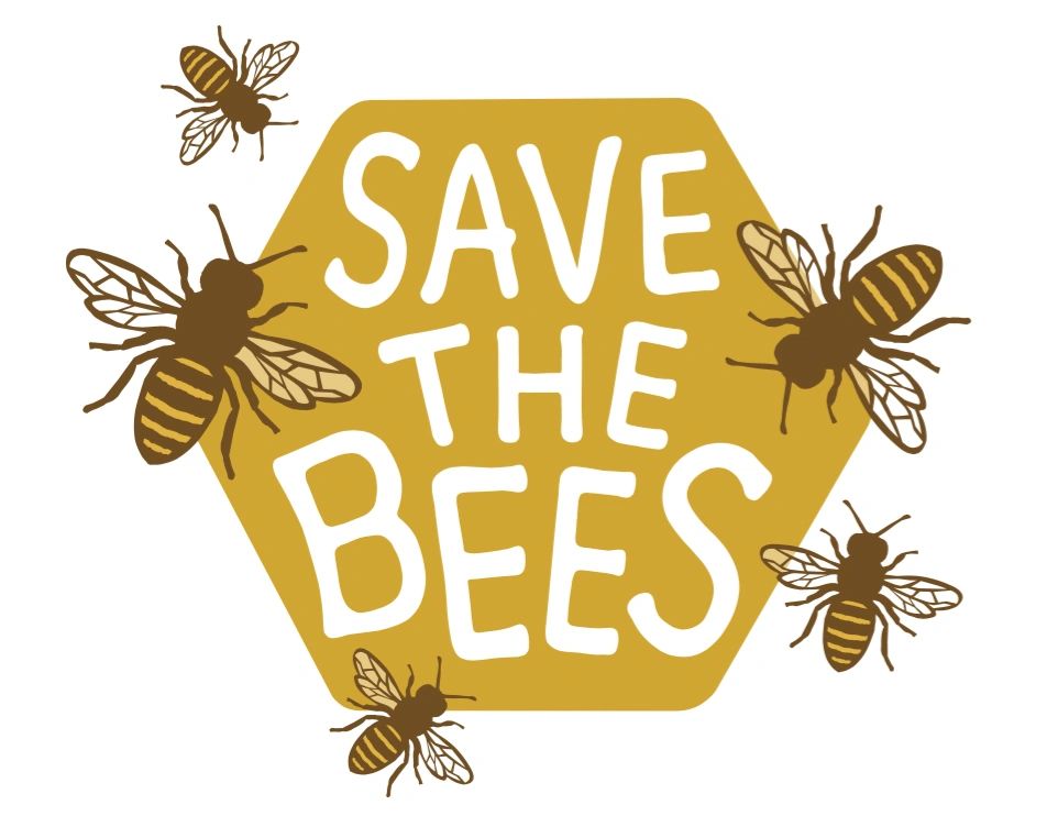 How Your Family Can Help Save The Bees